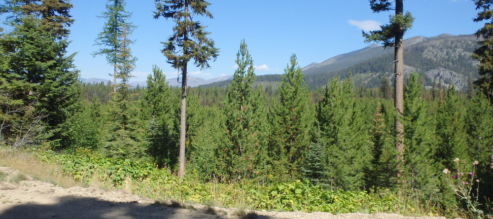 GDMBR: Our side view, looking northeast to northwest.